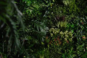jungle decor